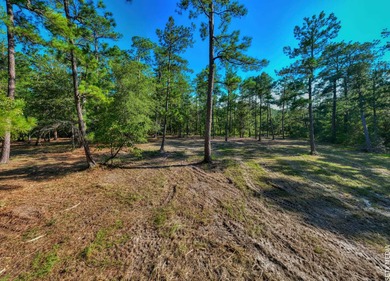 1.12 Acre WATERFRONT lot in the Coves! This property includes on Rayburn Country Club in Texas - for sale on GolfHomes.com, golf home, golf lot