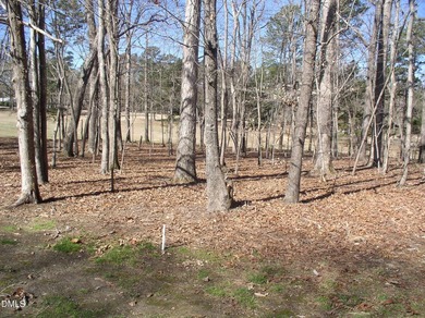 Beautiful golf course lot overlooking the fairways at Kerr Lake on Kerr Lake Country Club in North Carolina - for sale on GolfHomes.com, golf home, golf lot