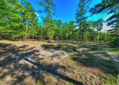 1.07 Acre WATERFRONT lot in the Coves! This property includes on Rayburn Country Club in Texas - for sale on GolfHomes.com, golf home, golf lot
