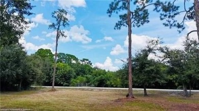 This prime .46-acre canal-front lot is located in the serene on River Greens Golf Course in Florida - for sale on GolfHomes.com, golf home, golf lot