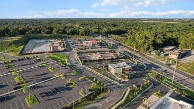 Seller's promo, covers closing cost and up to an additional $10 on Twisted Oaks Golf Club in Florida - for sale on GolfHomes.com, golf home, golf lot
