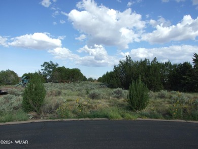 Beautiful building lot in the Snowflake Golf Course area. Large on Snowflake Municipal Golf Course in Arizona - for sale on GolfHomes.com, golf home, golf lot