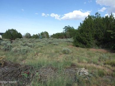 Beautiful building lot in the Snowflake Golf Course area. Large on Snowflake Municipal Golf Course in Arizona - for sale on GolfHomes.com, golf home, golf lot