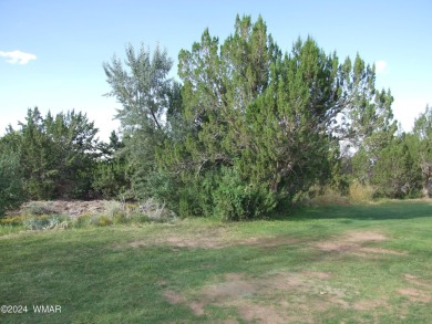 Beautiful building lot in the Snowflake Golf Course area. Large on Snowflake Municipal Golf Course in Arizona - for sale on GolfHomes.com, golf home, golf lot