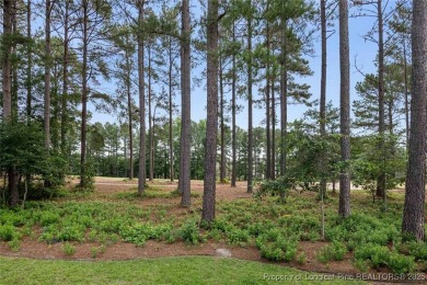 **Stunning Golf Course Home in Gated Anderson Creek Club!** on Anderson Creek Golf Club in North Carolina - for sale on GolfHomes.com, golf home, golf lot