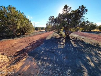 Check out this, ready to build on .42 Acre lot! Sellers have on Silver Creek Golf Club in Arizona - for sale on GolfHomes.com, golf home, golf lot