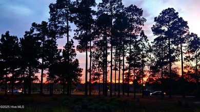 Don't miss out on this move-in ready Florida style home with on Cape Fear National At Brunswick Forest in North Carolina - for sale on GolfHomes.com, golf home, golf lot