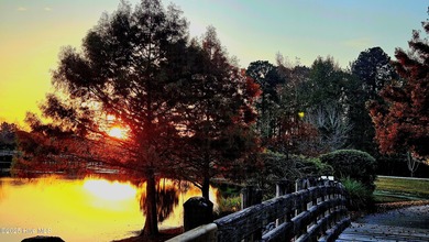 Don't miss out on this move-in ready Florida style home with on Cape Fear National At Brunswick Forest in North Carolina - for sale on GolfHomes.com, golf home, golf lot