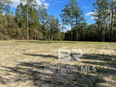 Site Cleared,  Curbed, and Utilities at the street for easy on Country Club of Brewton in Alabama - for sale on GolfHomes.com, golf home, golf lot