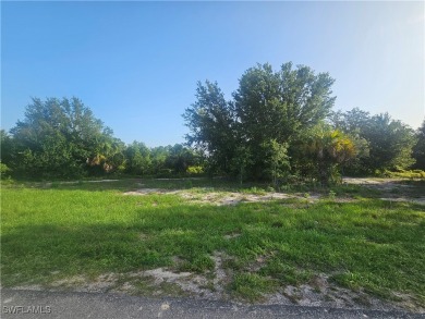 Beautiful .23 acre lot located near Alabama Road and Homestead on Copperhead Golf Club in Florida - for sale on GolfHomes.com, golf home, golf lot