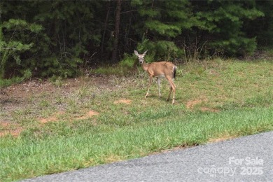 This Badin Lake waterfront lot is located in the prestigious on Old North State Club at Uwharrie Point Golf community in North Carolina - for sale on GolfHomes.com, golf home, golf lot