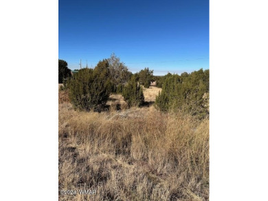 Imagine owning a piece of land where you can build your dream on Silver Creek Golf Club in Arizona - for sale on GolfHomes.com, golf home, golf lot