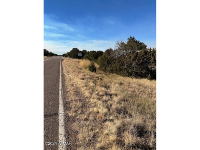 Imagine owning a piece of land where you can build your dream on Silver Creek Golf Club in Arizona - for sale on GolfHomes.com, golf home, golf lot