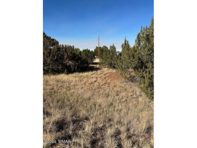 Imagine owning a piece of land where you can build your dream on Silver Creek Golf Club in Arizona - for sale on GolfHomes.com, golf home, golf lot