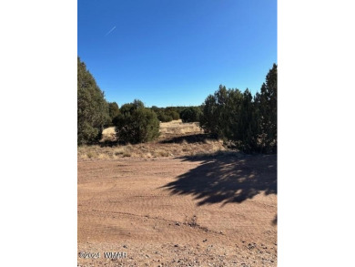 Rare 1 acre parcel located in White Mountain Lakes.  Access to a on Silver Creek Golf Club in Arizona - for sale on GolfHomes.com, golf home, golf lot