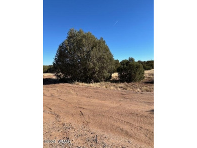 Rare 1 acre parcel located in White Mountain Lakes.  Access to a on Silver Creek Golf Club in Arizona - for sale on GolfHomes.com, golf home, golf lot