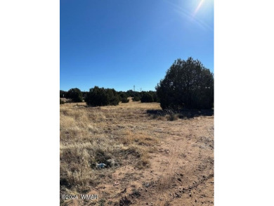 Rare 1 acre parcel located in White Mountain Lakes.  Access to a on Silver Creek Golf Club in Arizona - for sale on GolfHomes.com, golf home, golf lot