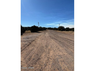 Rare 1 acre parcel located in White Mountain Lakes.  Access to a on Silver Creek Golf Club in Arizona - for sale on GolfHomes.com, golf home, golf lot