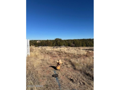 Situated on a corner lot, 1.85 acres is rare.  Imagine owning a on Silver Creek Golf Club in Arizona - for sale on GolfHomes.com, golf home, golf lot