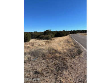 Situated on a corner lot, 1.85 acres is rare.  Imagine owning a on Silver Creek Golf Club in Arizona - for sale on GolfHomes.com, golf home, golf lot