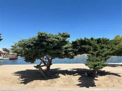 2024 BEST PLACES to BUY a HOUSE in CALIFORNIA - Niche.  Number 4 on Silver Lakes Golf Course in California - for sale on GolfHomes.com, golf home, golf lot