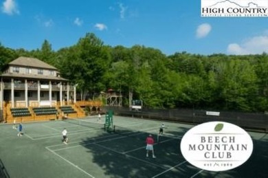 Fully Furnished Log Cabin in Beech Mountain - Turnkey Mountain on Beech Mountain Club in North Carolina - for sale on GolfHomes.com, golf home, golf lot