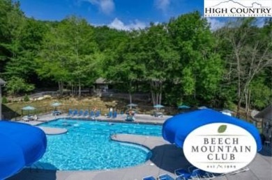 Fully Furnished Log Cabin in Beech Mountain - Turnkey Mountain on Beech Mountain Club in North Carolina - for sale on GolfHomes.com, golf home, golf lot