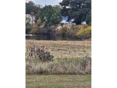 This cozy home is ready for you to preview and you won't be on Captains Cove Golf and Yacht Club in Virginia - for sale on GolfHomes.com, golf home, golf lot