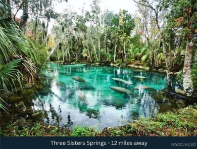 Build your dream home on this beautiful 1.02-acre lot, located on Pine Ridge Community Golf and Country Club in Florida - for sale on GolfHomes.com, golf home, golf lot