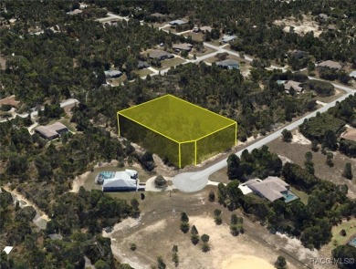 Build your dream home on this beautiful 1.02-acre lot, located on Pine Ridge Community Golf and Country Club in Florida - for sale on GolfHomes.com, golf home, golf lot