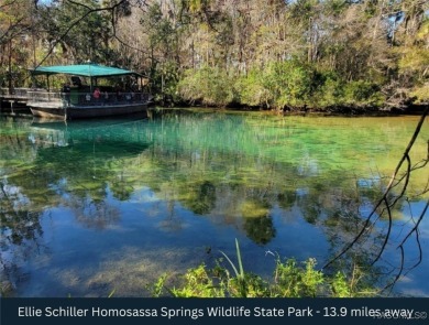 Build your dream home on this beautiful 1.02-acre lot, located on Pine Ridge Community Golf and Country Club in Florida - for sale on GolfHomes.com, golf home, golf lot