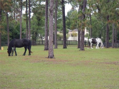 Build your dream home on this beautiful 1.02-acre lot, located on Pine Ridge Community Golf and Country Club in Florida - for sale on GolfHomes.com, golf home, golf lot