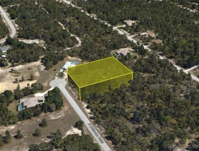 Build your dream home on this beautiful 1.02-acre lot, located on Pine Ridge Community Golf and Country Club in Florida - for sale on GolfHomes.com, golf home, golf lot