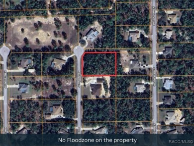 Build your dream home on this beautiful 1.02-acre lot, located on Pine Ridge Community Golf and Country Club in Florida - for sale on GolfHomes.com, golf home, golf lot