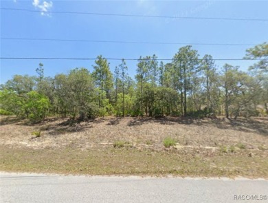 Build your dream home on this beautiful 1.02-acre lot, located on Pine Ridge Community Golf and Country Club in Florida - for sale on GolfHomes.com, golf home, golf lot