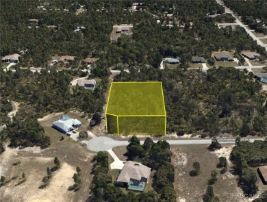 Build your dream home on this beautiful 1.02-acre lot, located on Pine Ridge Community Golf and Country Club in Florida - for sale on GolfHomes.com, golf home, golf lot