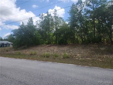 Build your dream home on this beautiful 1.02-acre lot, located on Pine Ridge Community Golf and Country Club in Florida - for sale on GolfHomes.com, golf home, golf lot