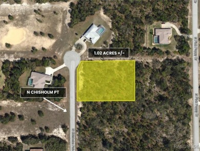 Build your dream home on this beautiful 1.02-acre lot, located on Pine Ridge Community Golf and Country Club in Florida - for sale on GolfHomes.com, golf home, golf lot