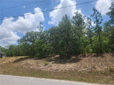Build your dream home on this beautiful 1.02-acre lot, located on Pine Ridge Community Golf and Country Club in Florida - for sale on GolfHomes.com, golf home, golf lot