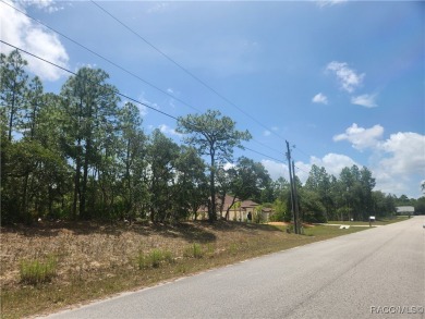 Build your dream home on this beautiful 1.02-acre lot, located on Pine Ridge Community Golf and Country Club in Florida - for sale on GolfHomes.com, golf home, golf lot