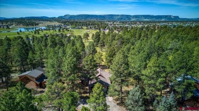 Heather Simpson, ENGEL  VOLKERS Pagosa Springs, C: , heather,  : on Pagosa Springs Golf Club in Colorado - for sale on GolfHomes.com, golf home, golf lot