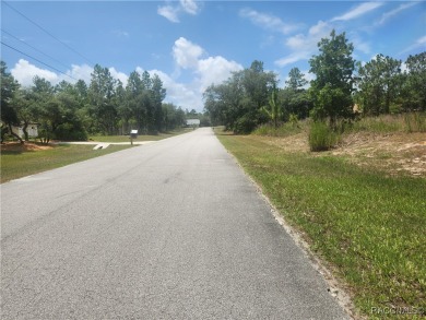 Build your dream home on this beautiful 1.02-acre lot, located on Pine Ridge Community Golf and Country Club in Florida - for sale on GolfHomes.com, golf home, golf lot