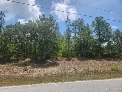Build your dream home on this beautiful 1.02-acre lot, located on Pine Ridge Community Golf and Country Club in Florida - for sale on GolfHomes.com, golf home, golf lot