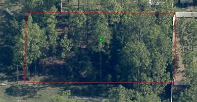 This .23-acre homesite is ready for you to build your dream home on Citrus Springs Country Club in Florida - for sale on GolfHomes.com, golf home, golf lot