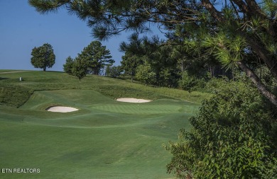 Discover unparalleled beauty within WindRiver Golf and Lakefront on Wind River Golf Course in Tennessee - for sale on GolfHomes.com, golf home, golf lot