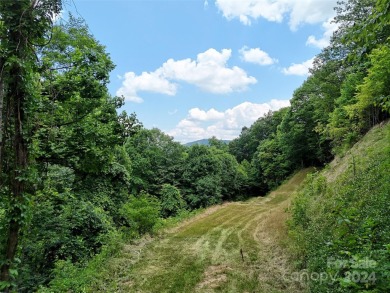 Located in the beautiful community of Big Springs Cove Estates on Maggie Valley Resort and Country Club in North Carolina - for sale on GolfHomes.com, golf home, golf lot