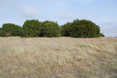 0.29 acre lot that has been cleared of large trees and brush on White Bluff Resort - Old Course in Texas - for sale on GolfHomes.com, golf home, golf lot
