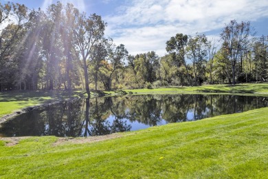 BRAND NEW, CUSTOM BUILT, 3 BR 2 FULL BATH, 1200 SQFT RANCH IN on Deer Run Golf Club in Michigan - for sale on GolfHomes.com, golf home, golf lot