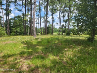 Beautiful .40/acre home site that sits up high and dry from the on Ocean Ridge Plantation in North Carolina - for sale on GolfHomes.com, golf home, golf lot