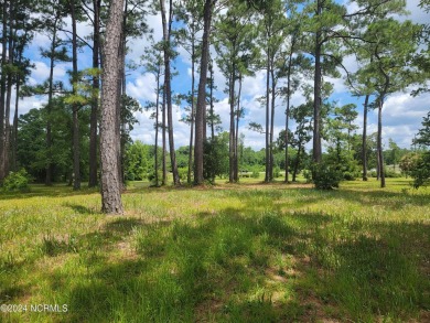 Beautiful .40/acre home site that sits up high and dry from the on Ocean Ridge Plantation in North Carolina - for sale on GolfHomes.com, golf home, golf lot